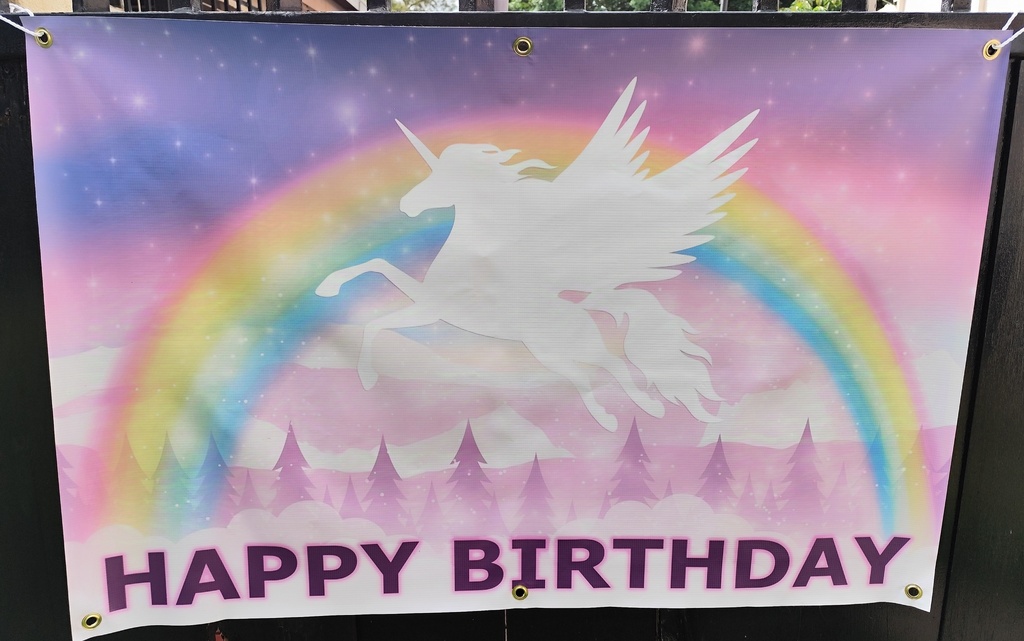 PVC Birthday Banner - Unicorns