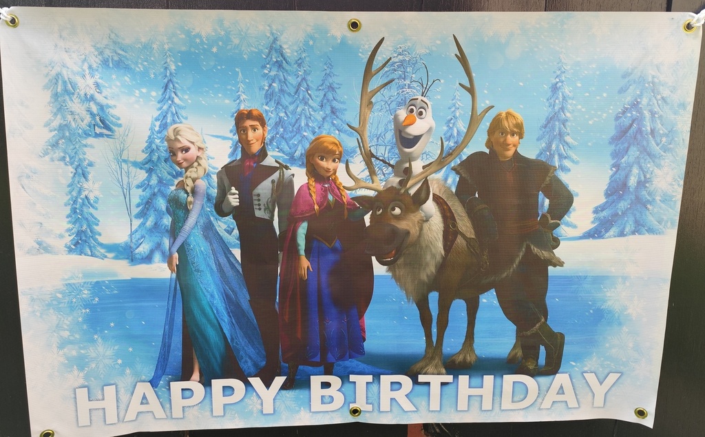 PVC Birthday Banner - Frozen 