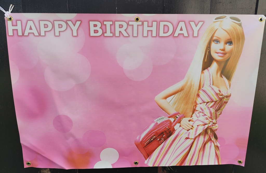 PVC Birthday Banner - Barbie
